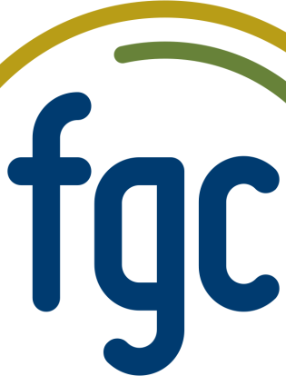 https://www.fgc.org.br/