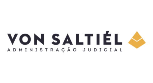 Logo Von Saltiel