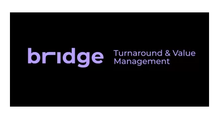 Bridge - Turnaround & Value Management LTDA
